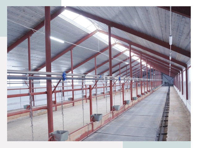 Строительство коровников в Можге от 608 руб.