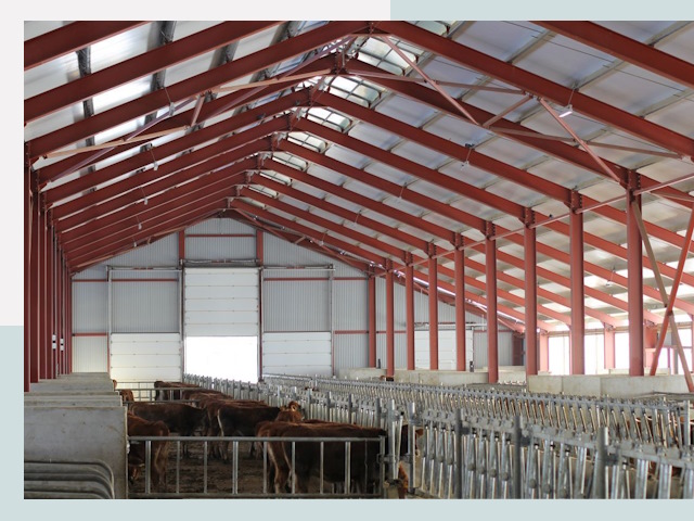 Строительство коровников в Можге