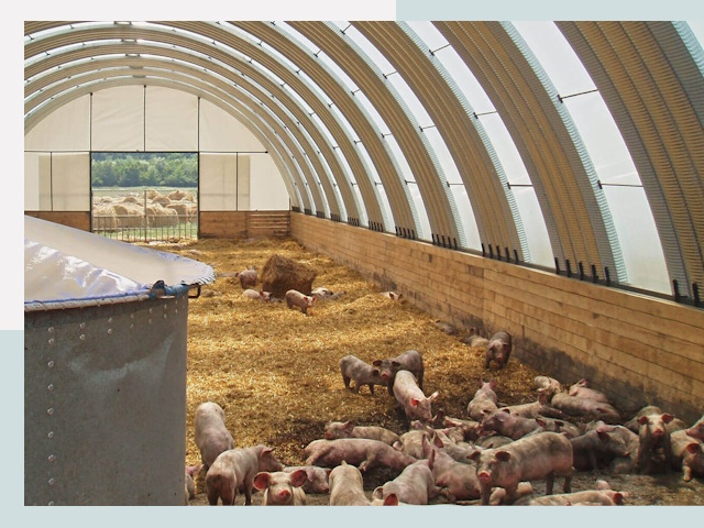 Строительство свинарников в Можге