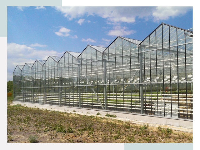 Строительство теплиц в Можга от 608 руб. за м²