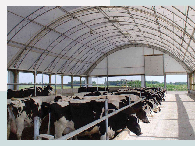 Тентовые коровники в Можге